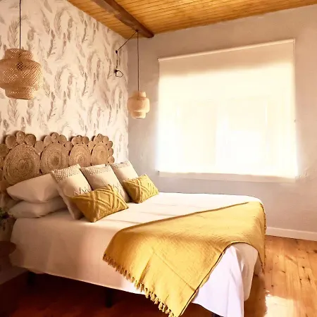 Juego De Canas Apartment *